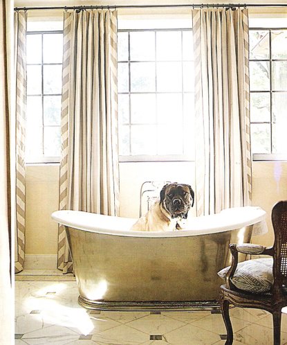 dog_in_tub_and_fabric